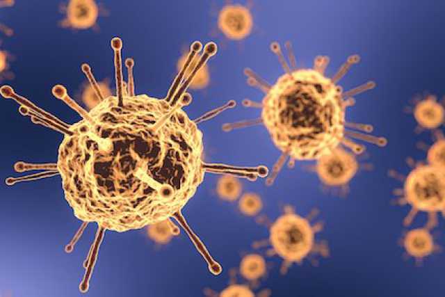 Coronavirus, in Puglia 5 nuovi casi: positivo lo 0,20% dei tamponi